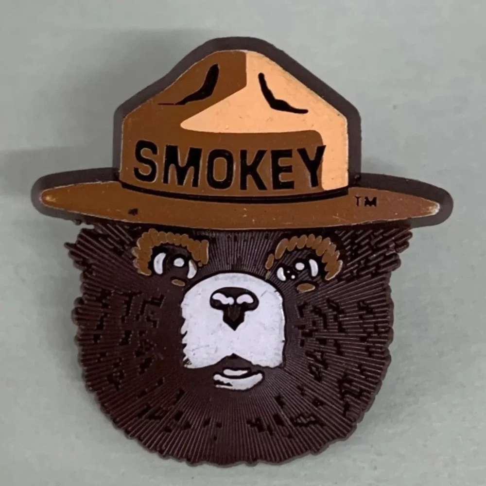 Vtg Smokey Bear Head Pin Brown Plastic Pinback Only You Can Prevent Wildfires - Picture 1 of 2